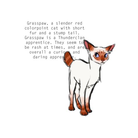 felidaze&39;s warrior cat creator renteu cat animals warriorcat insired by the warriors series by erin hunter each fur colour comes in a light shade & a dark shade. . Personality generator warrior cats